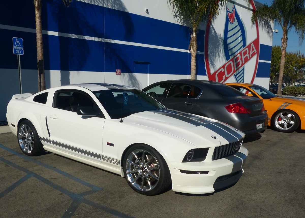 The casual parking lot car show as also spectacular with every year, color and stripe of Shelby Mustang you can imagine