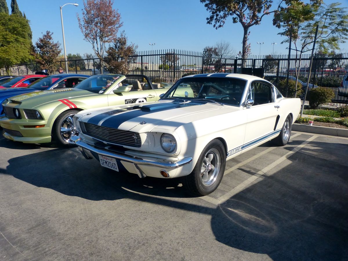 Wish this '66 GT350 lived in my garage -- real deal too, not a fake snake, me recalls