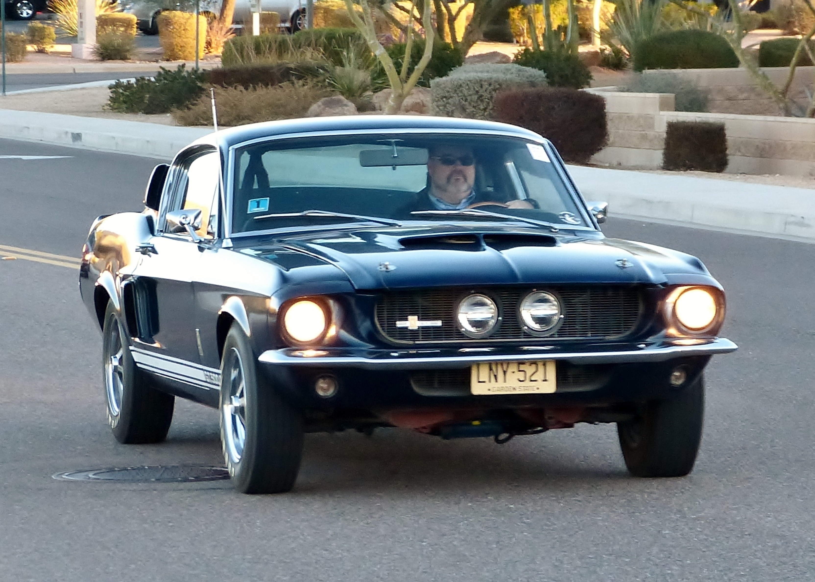 Driven: 1967 Shelby GT500 Mustang