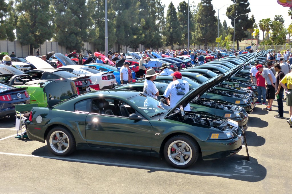 Bullitt Stangs are all highland Green Metallic inside - and most outside too