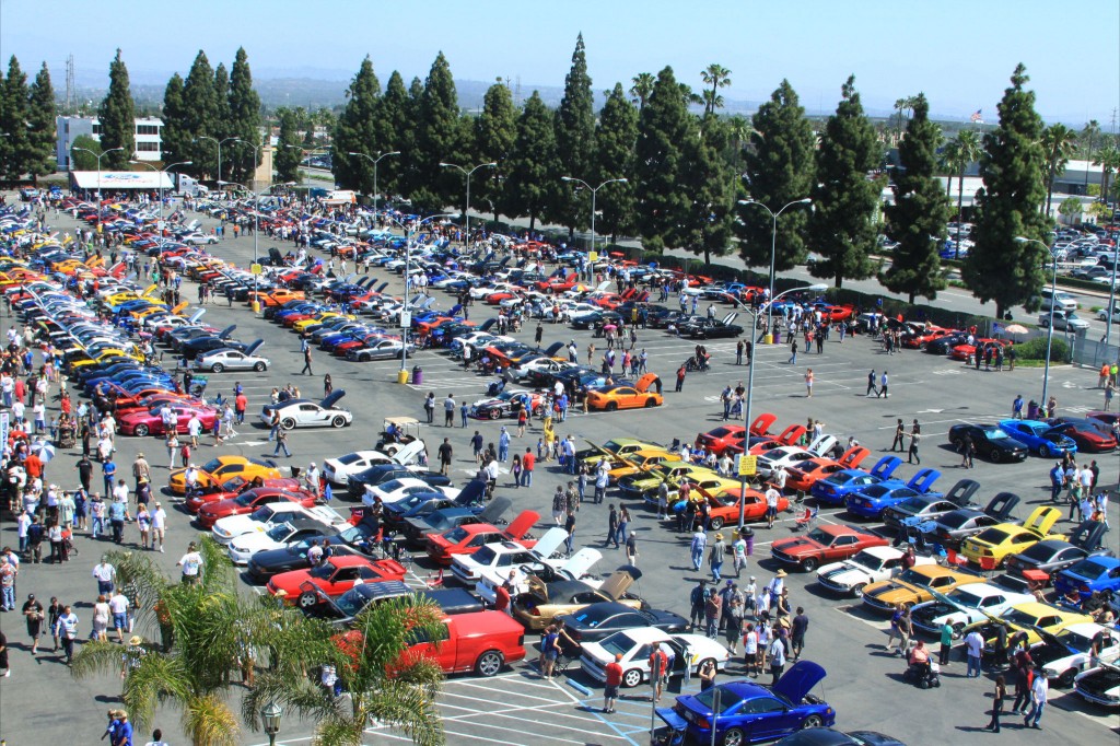 The Mustang Ranch held more than 1100 Mustangs of every year, color, and model