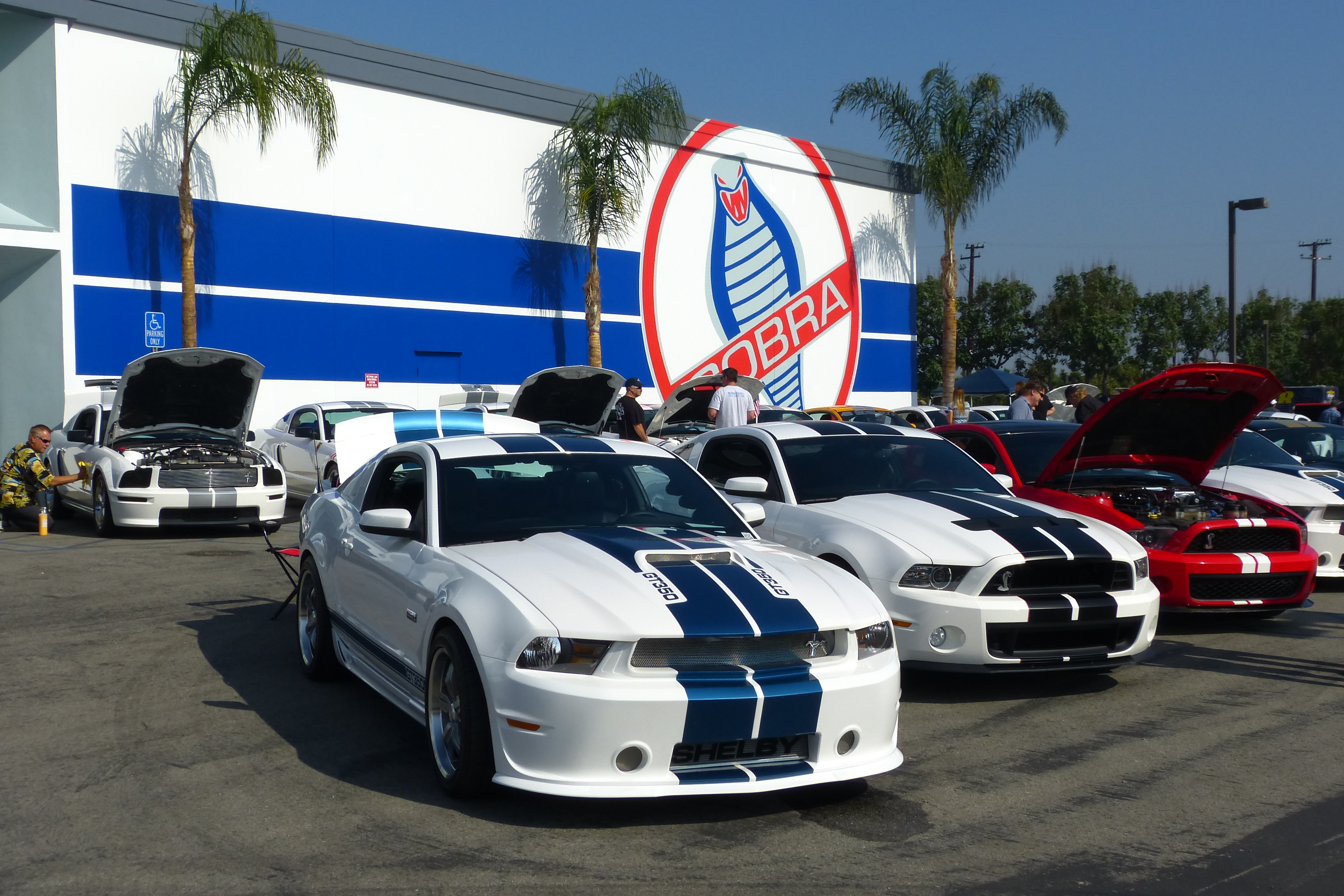 Shelby American / SAAC Tribute car show remembers Carroll Shelby – a year later
