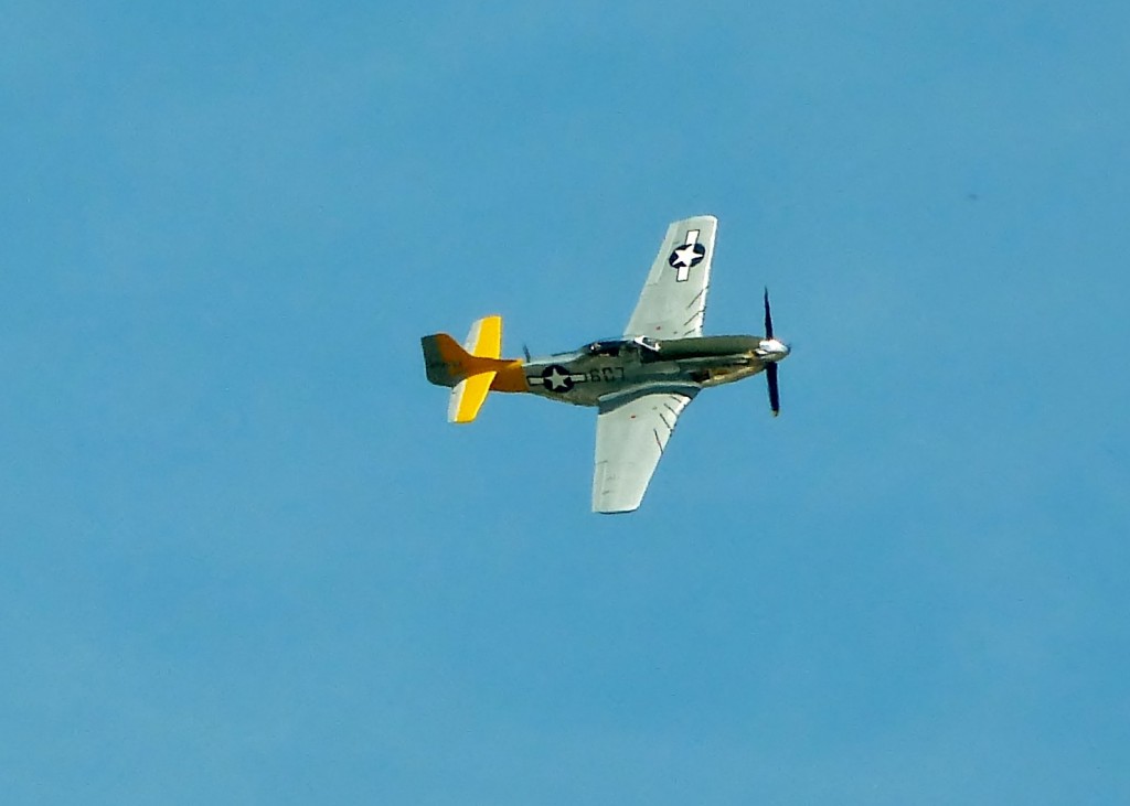 This rumbling, grumbling V-12 engined Mustang buzzed the grounds and thrilled the crowd as much as did any of the cars on hand