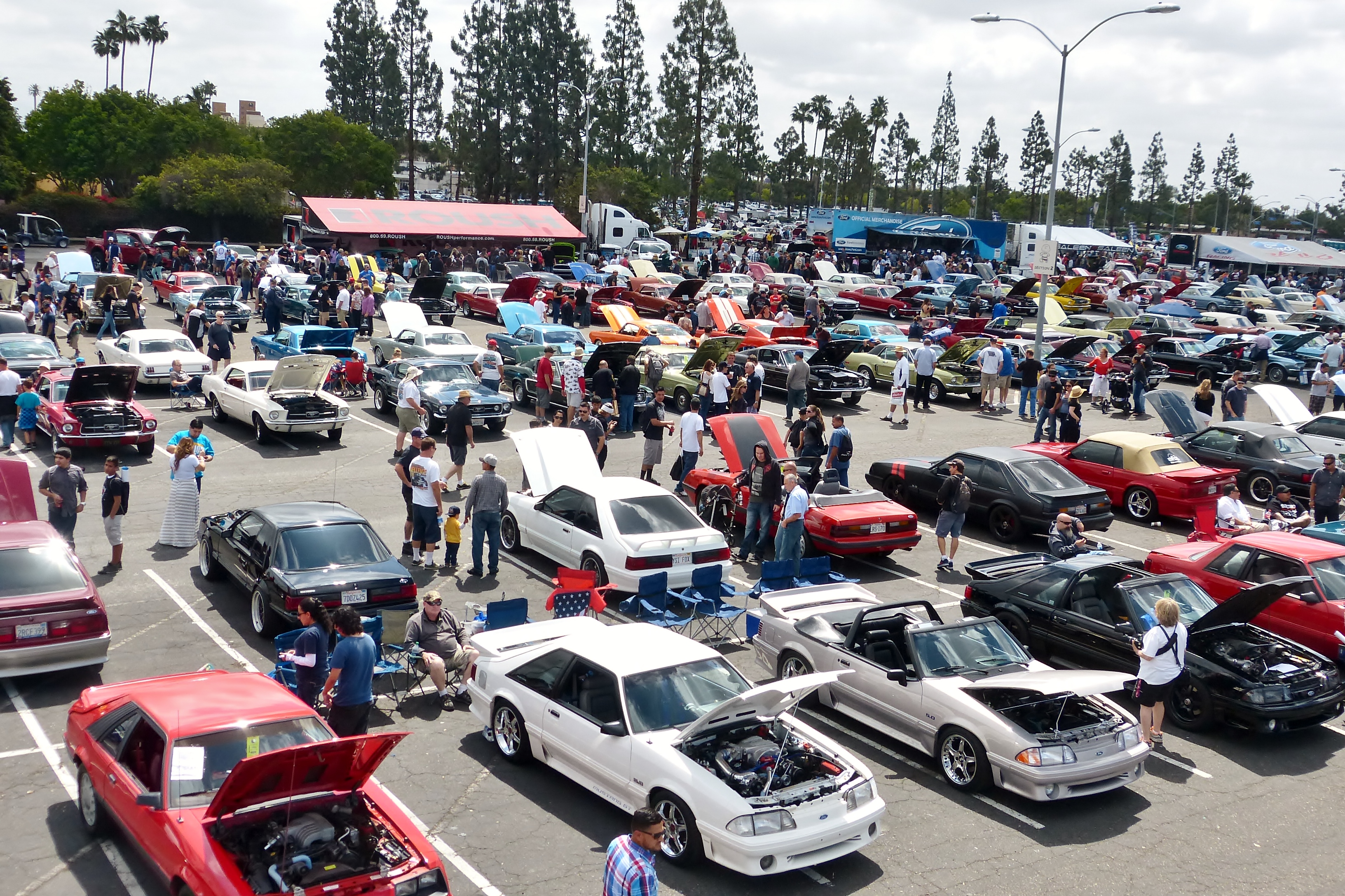 Fabulous Fords Forever 2014 — Has it been nearly 30 years since the birth of “Fab Fords?”