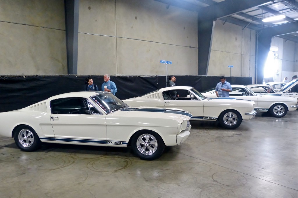 GT350s took pride of place inside the buildings to enjoy their 50th birthday