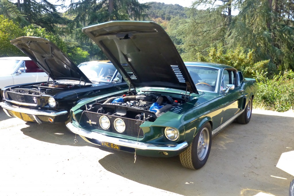 Particularly badass Shelby GT500, check out its particularly badass motor just below...
