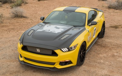 LIMITED EDITION SHELBY TERLINGUA MUSTANG RETURNS