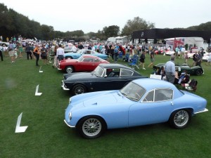 This was the class it was my honor to judge, GTs and sports cars 1960-66.  And they were yum.