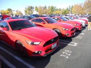 I'd be shocked if there was less than a thousand Mustangs on hand.
