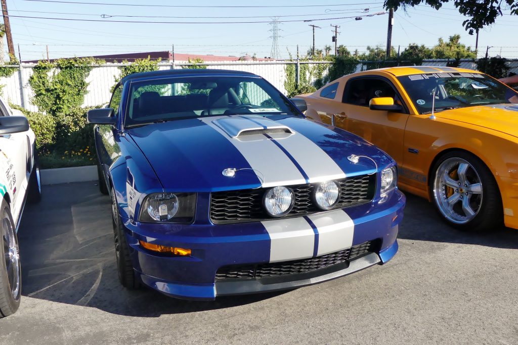 P1110019 Matt Stone Cars