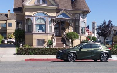 DRIVEN: 2019 Lexus US 250 Luxury