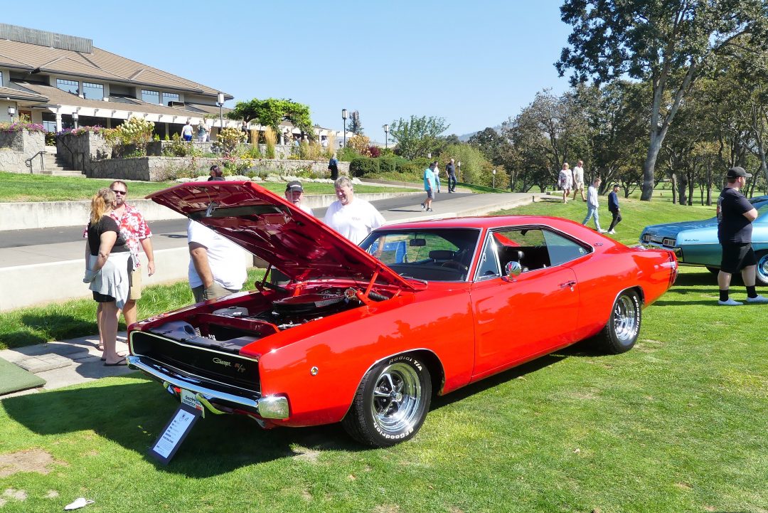 P1120758 Matt Stone Cars